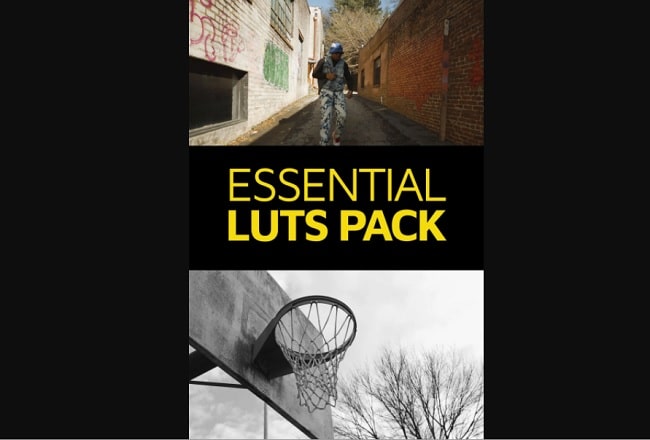Master Filmmaker Essential LUTs Pack | 36+ Variations