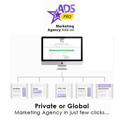 Ads Pro Add-on  WordPress Marketing Agency