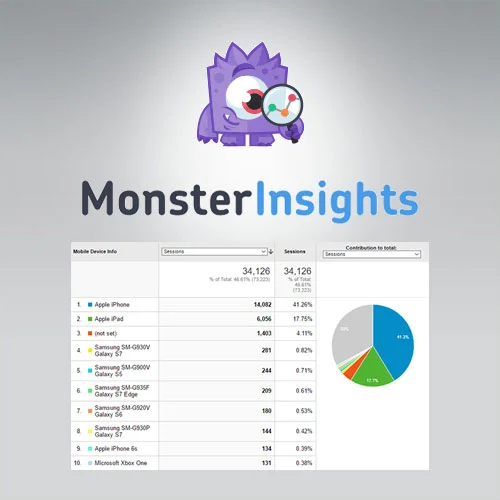 MonsterInsights  AMP Addon