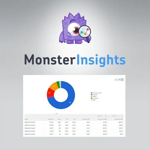 MonsterInsights  Ads Addon