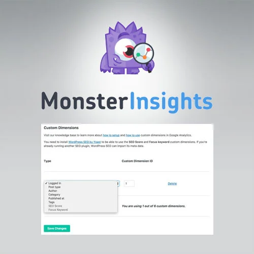 MonsterInsights  Dimensions Addon
