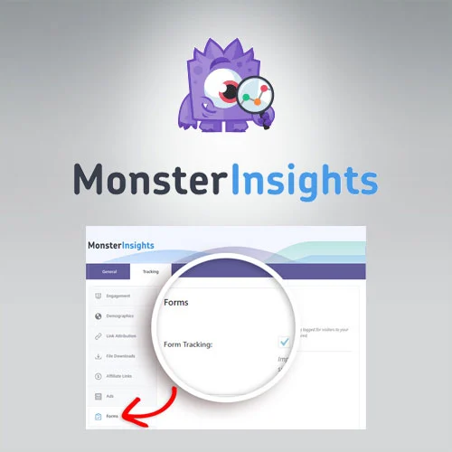 MonsterInsights  Forms Tracking Addon