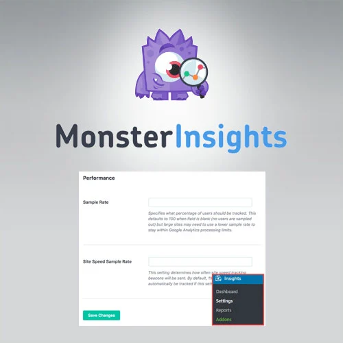 MonsterInsights  Performance Addon