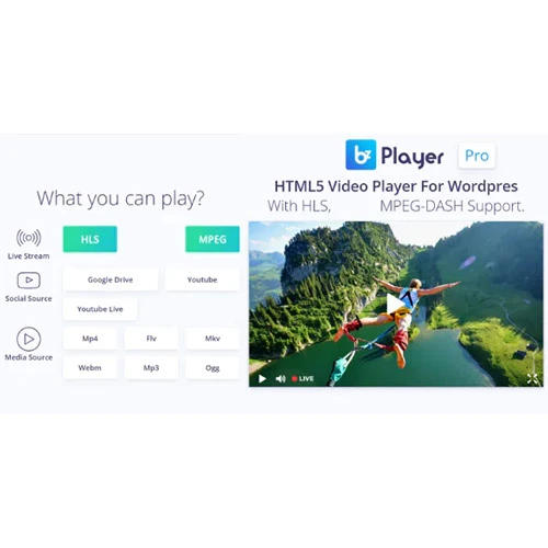 bzplayer Pro  Live Streaming Player WordPress Plugin