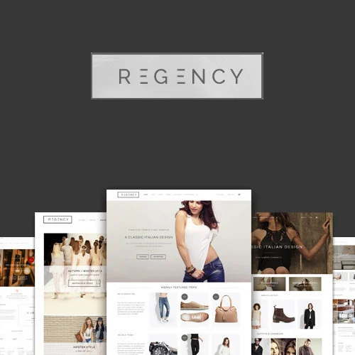 Regency A Beautiful & Modern Ecommerce Theme
