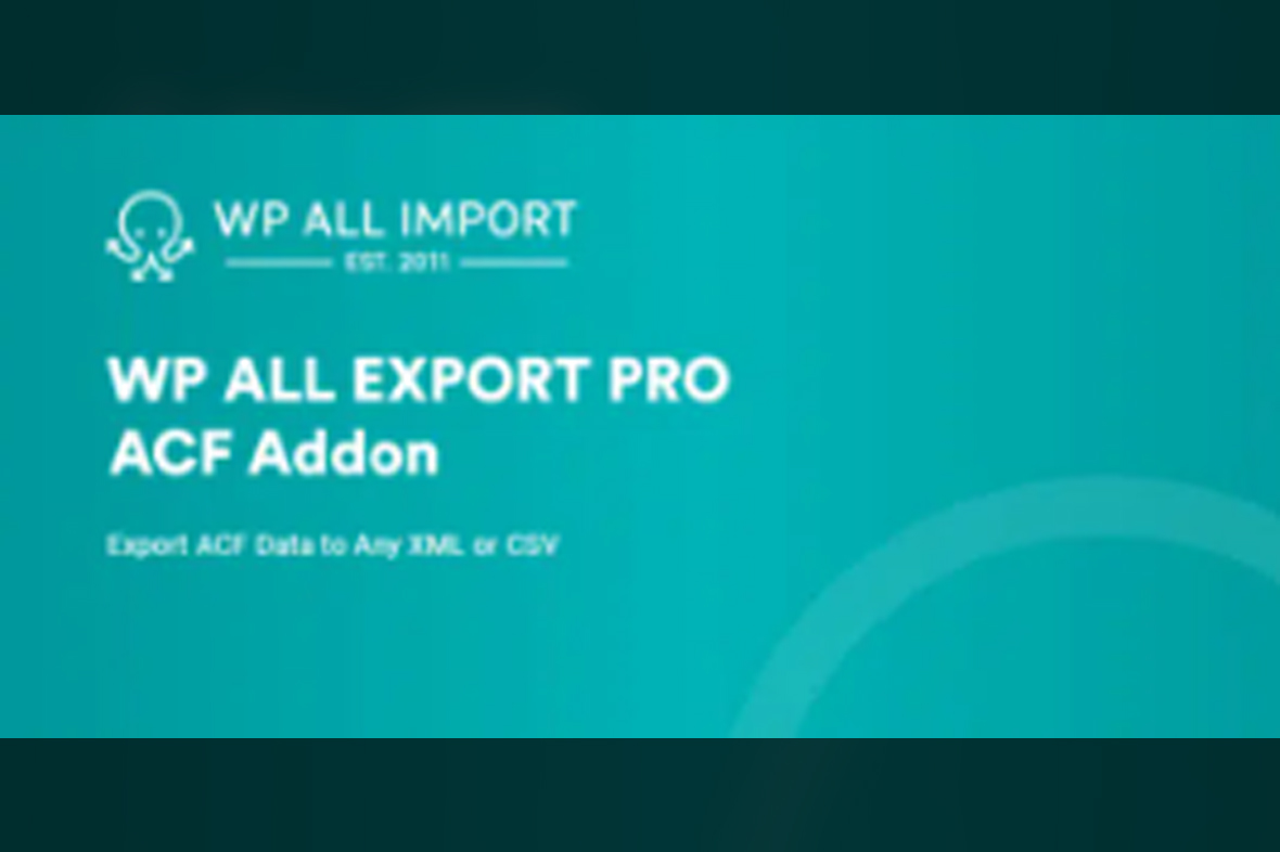 WP All Export – WooCommerce Export Add-On Pro v1.0.10