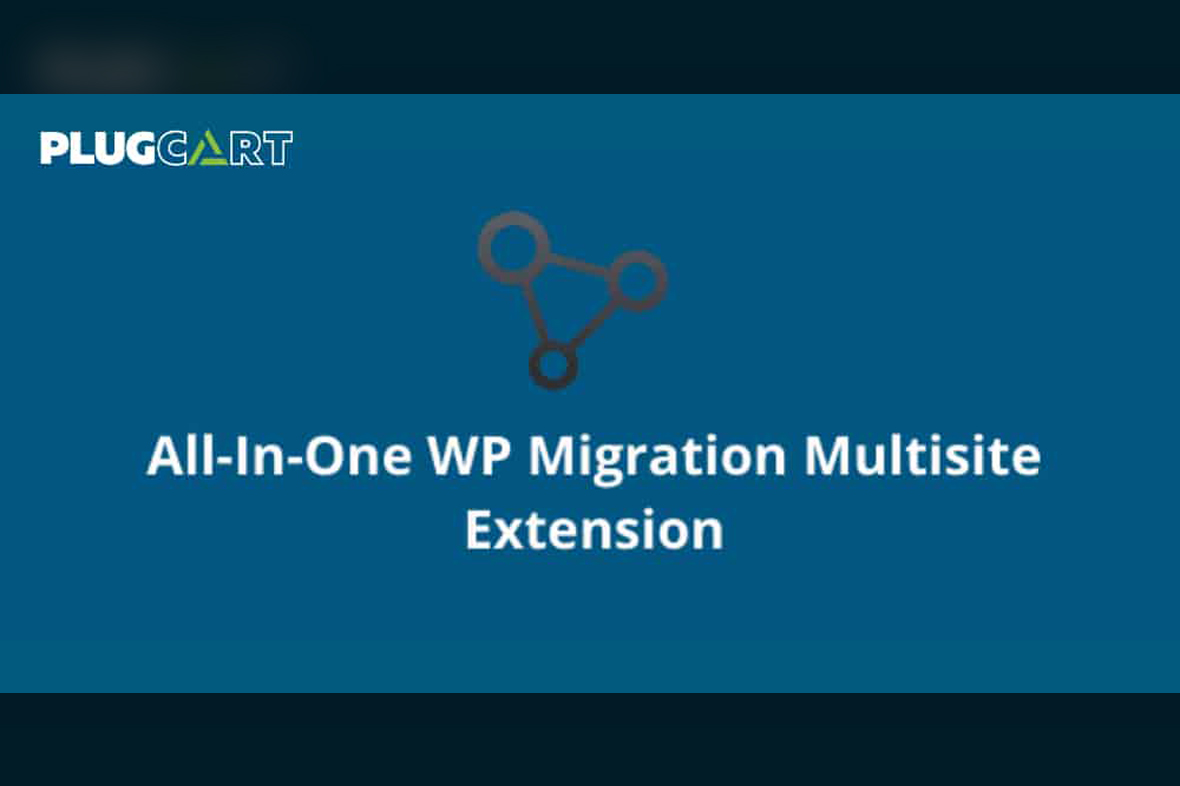 All In One WP Migration Multisite Extension [Pre-activated] v4.44
