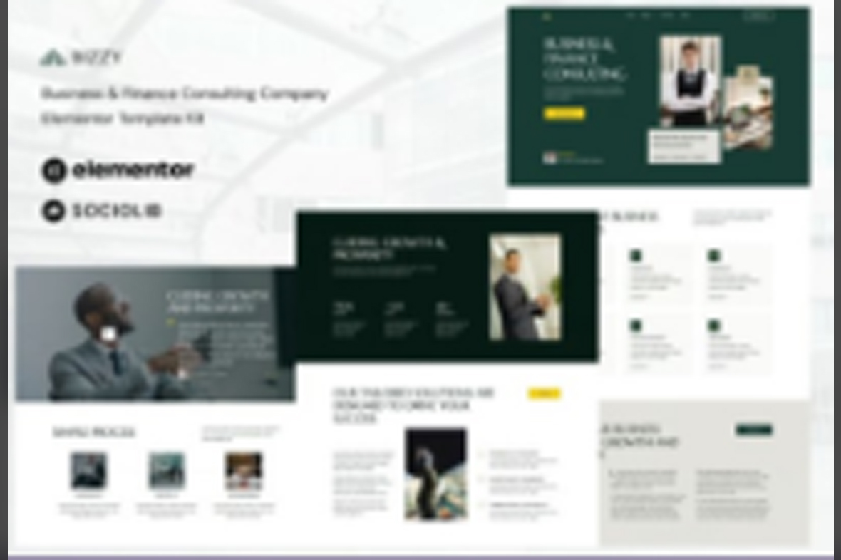 Bizzy – Business and Finance Consulting Company Elementor Template Kit July 30, 2025