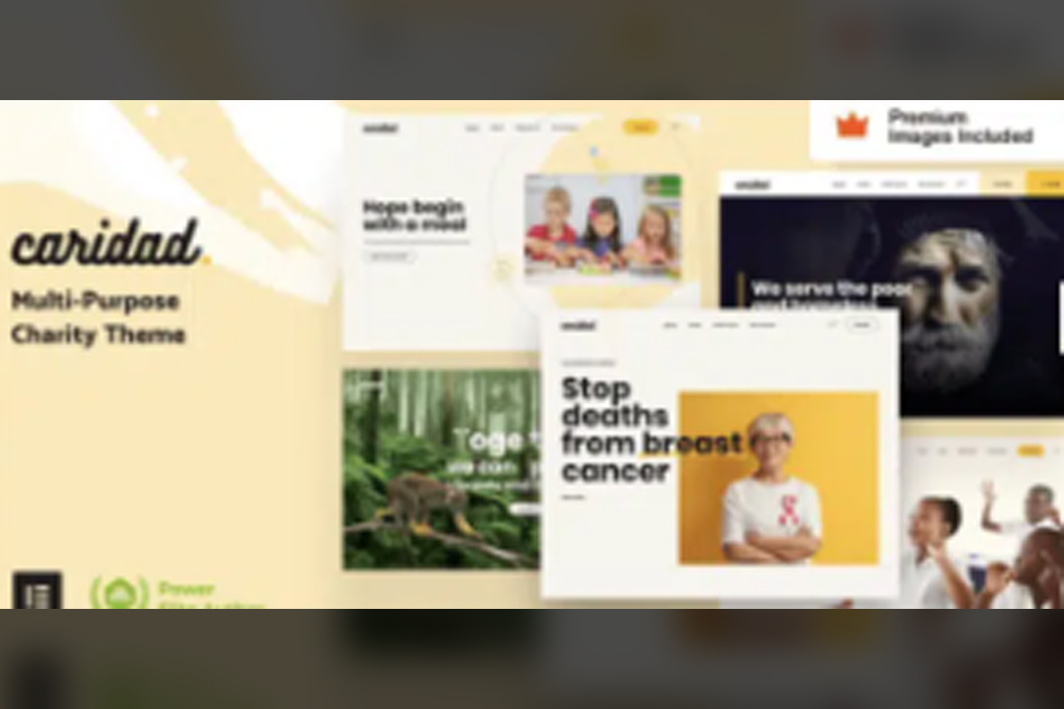 Caridad – Charity WordPress Theme v36.0