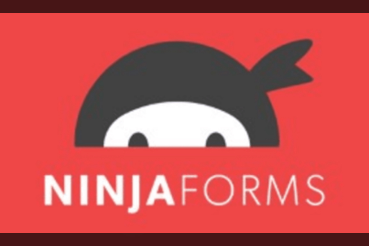 Ninja Forms Excel Export v3.3.5