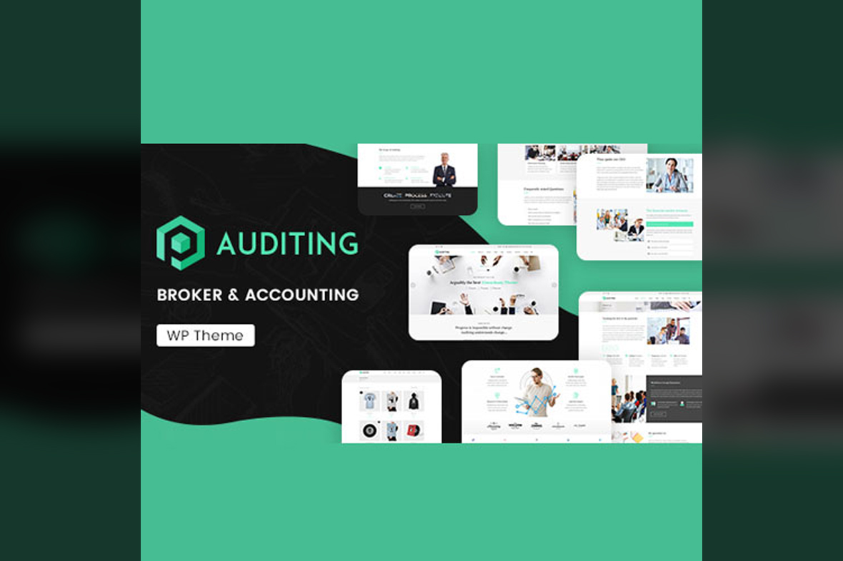 Auditing Accounting Consultant, Finance WordPress Theme v3.7