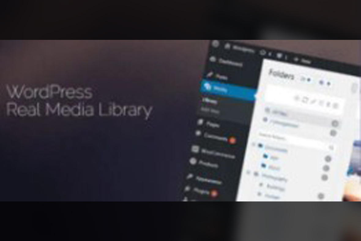 WordPress Real Media Library v4.22.38