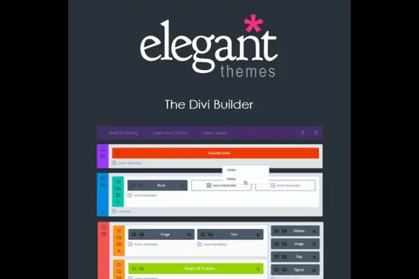 Elegant Themes The Divi Builder