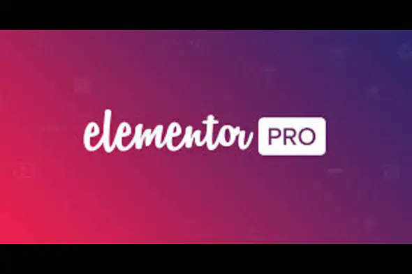 Elementor Pro v3.30