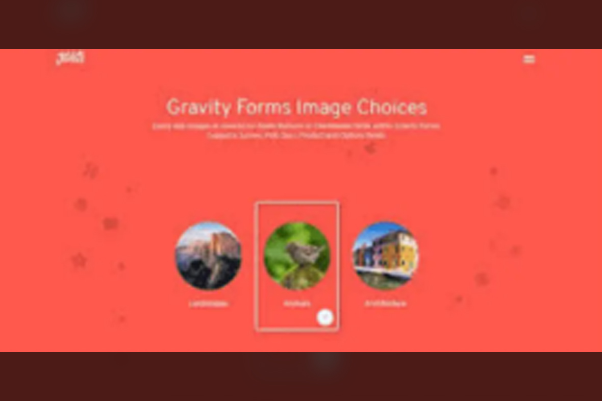 Gravity Forms Image Choices v1.6.5