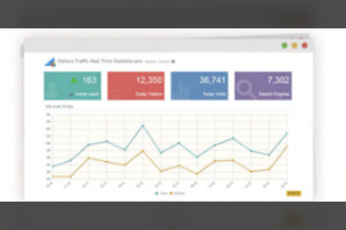 Visitor Traffic Real Time Statistics Pro v11.22