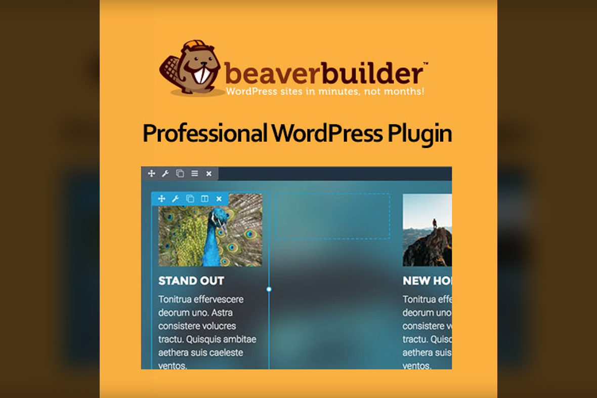 Beaver Builder Professional WordPress Plugin v2.10.0.4
