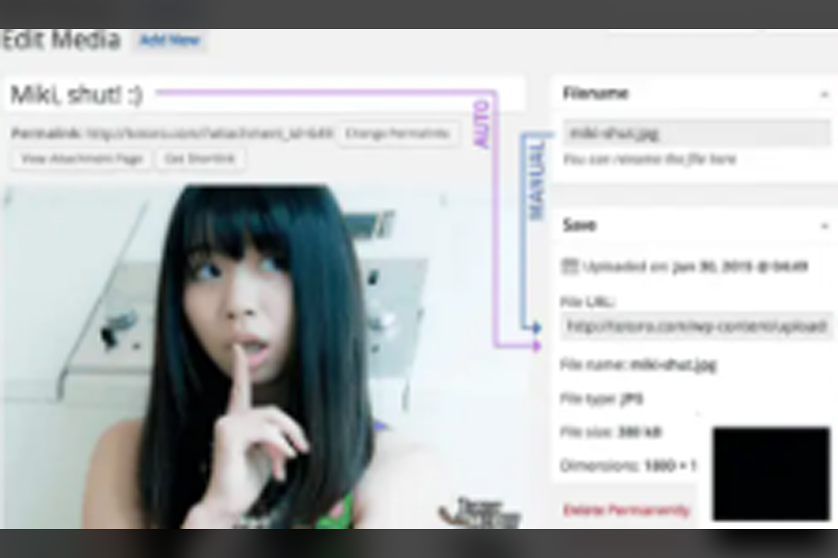 Media File Renamer Pro v6.3.0