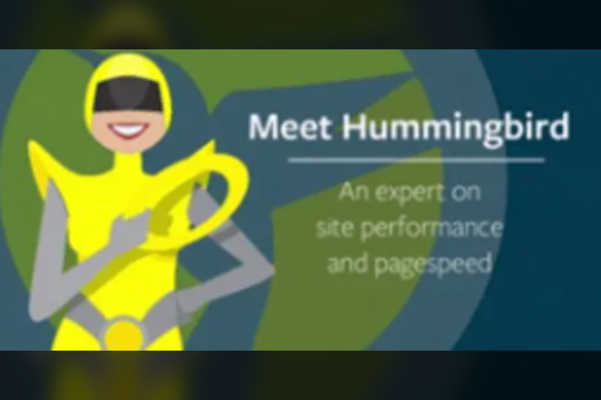 WPMU DEV Hummingbird Pro v3.13.1