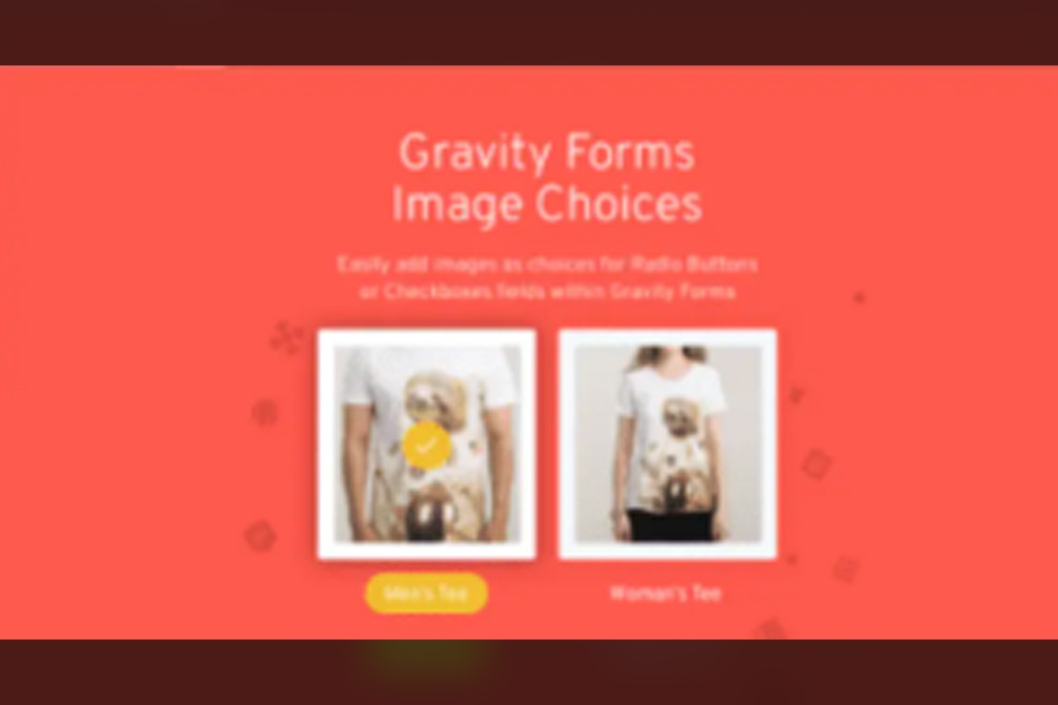 Jetsloth – Gravity Forms Image Choices v1.6.5