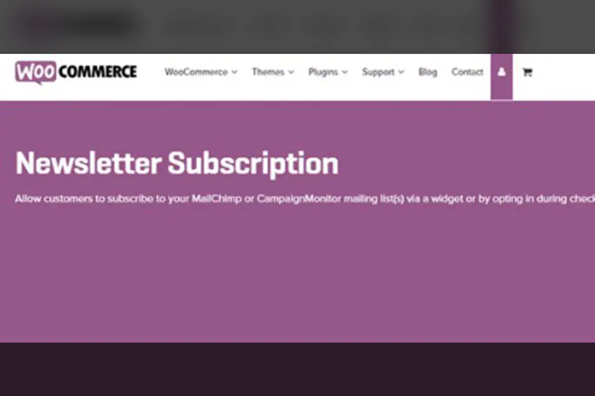 Newsletter – WooCommerce v2.0.3