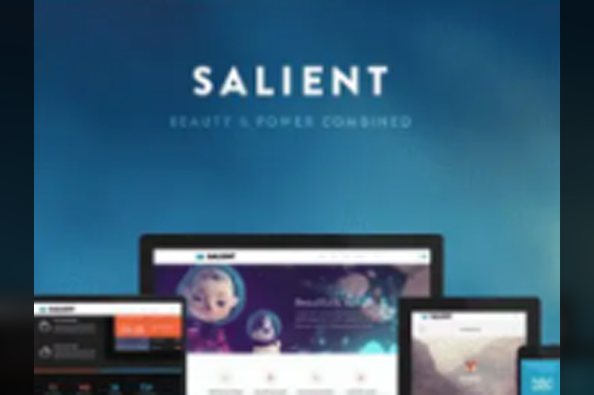 Salient – Responsive Multi-Purpose Theme v18.1.1