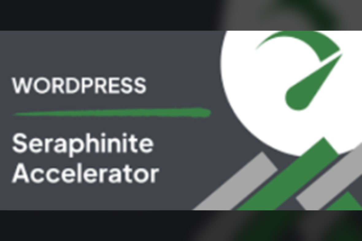 Seraphinite Accelerator v2.29.24